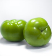 TOMATE MILANO VERDE