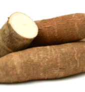 YUCA