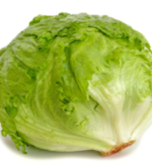 LECHUGA BATAVIA.   pesa. 600 gramos A 750  SIN PELAR  PELADA 500 GR