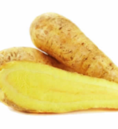 APIO ARRACACHA