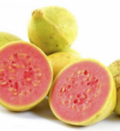 GUAYABA