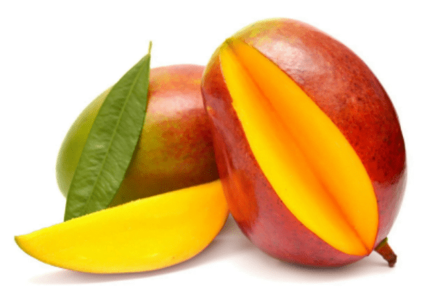 MANGO TOMY
