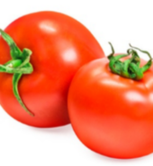 TOMATE LARGAVIDA ROJO