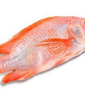 MOJARRA