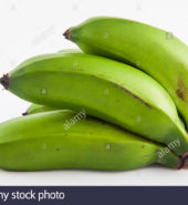 GUINEO COLICERO
