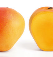 MANGO DE AZUCAR