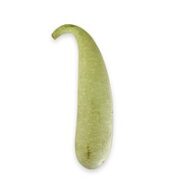 CALABAZA